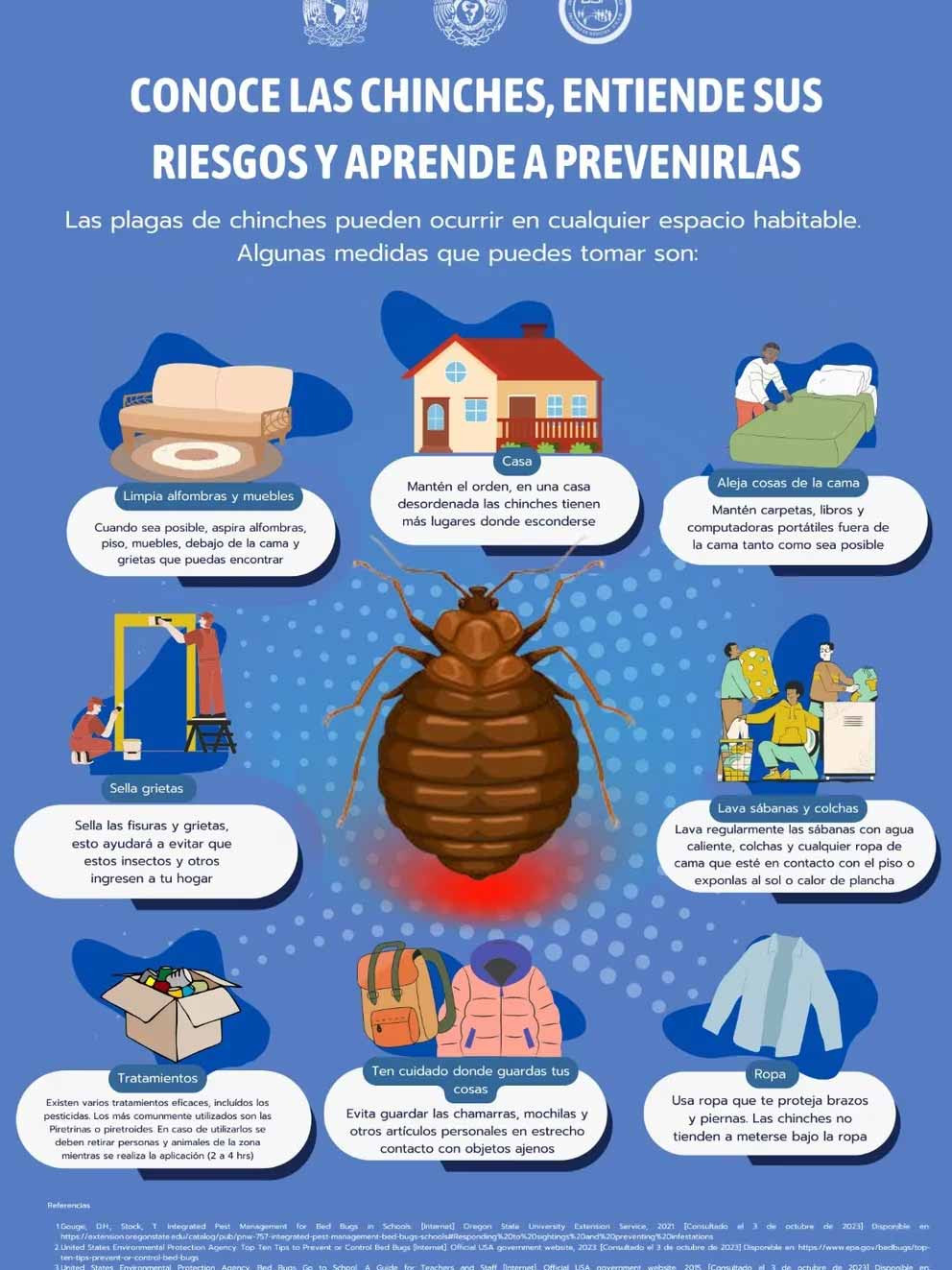 Guía práctica para detectar y prevenir chinches de cama en tu hogar